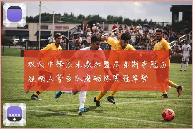 双向中锋杰米森加盟尼克斯夺冠历经湖人等多队磨砺终圆冠军梦